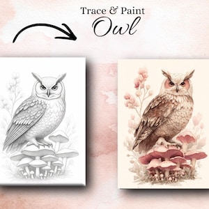 May include: Two owl paintings, one in black and white and the other in color. The color painting features a brown owl perched on red mushrooms with pink flowers. The black and white painting shows the owl on white mushrooms. Text at the top reads "Trace & Paint Owl".