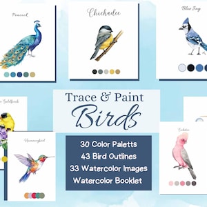 Digitale vogels traceren en schilderen, kleurenpaletten, aquarelkit volière, aquarelgids, natuurschets, levendige aquarel, vogelkunst