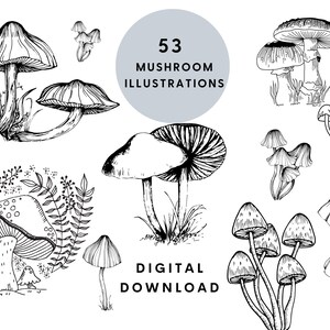 Mushroom SVG Bundle, Fungi Illustrations (Digital Download)