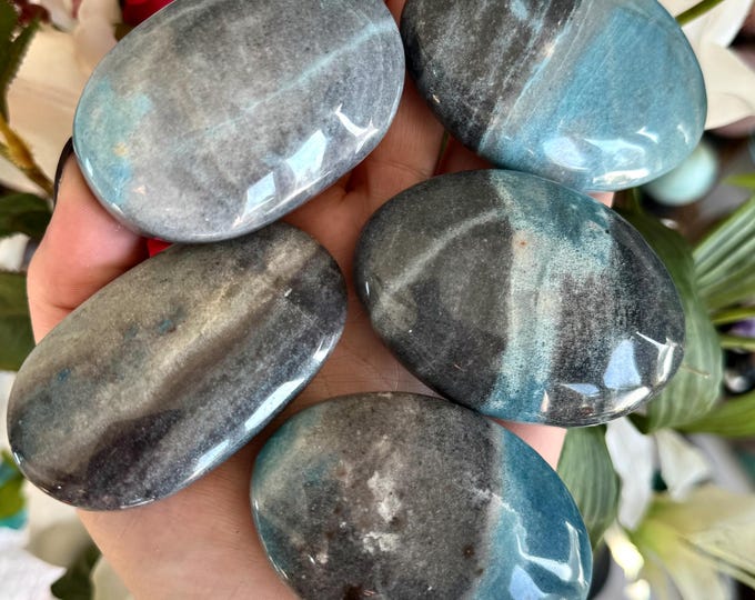 XL Trolleite Palm Stone