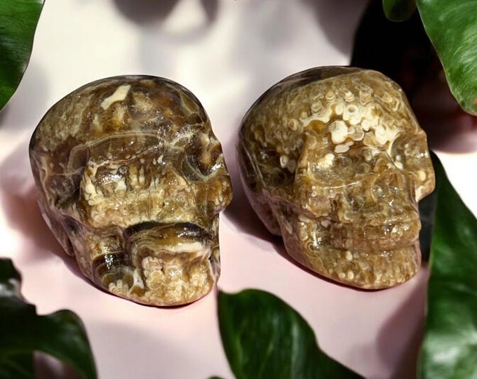 Amber Calcite Skull