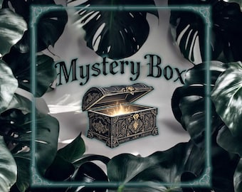 Mystery Box