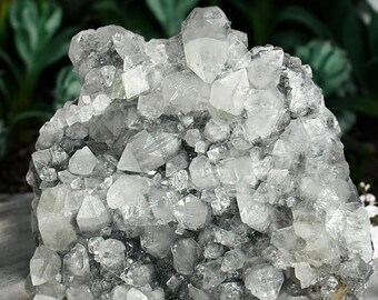 6.1LB Diamond Apophyllite on Black Chalcedony with Yellow Calcite XL Statement Piece