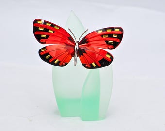 Swarovski Paradise Aqua Padparadscha Butterfly - Etsy