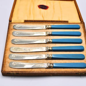 Set of 6 Boxed Butter Knives With Celluloid Handles - Vintage Silver Plate Cutlery