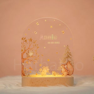 Customized name night light for baby, luminous animal acrylic board creative night light, kids gift for room zdjęcie 6