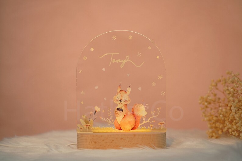 Customized name night light for baby, luminous animal acrylic board creative night light, kids gift for room zdjęcie 1