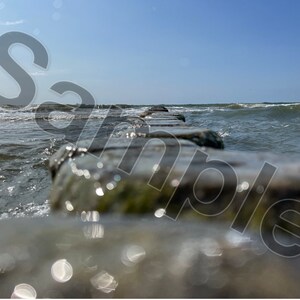 Baltic Sea beach Baltic Sea groynes waves sea #1