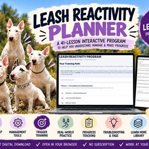 Op de afbeelding: Een digitale Leash Reactivity Planner met 41 interactieve lessen. Het scherm toont een trainingsprogramma op een laptop en een Working Distance Journal op een tablet. Vier witte Bull Terriers staan afgebeeld naast de tekst over het programma.