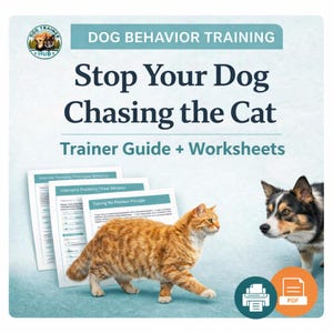 Dog Training Plan – Stop Cat Chasing Behavior (Digital Download)