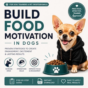 Build Food Motivation in Dogs | Training Games & Engagement Guide