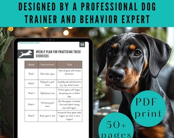 Reactive Dog Training Guide, Aggressive Behavior PDF, Obedience
