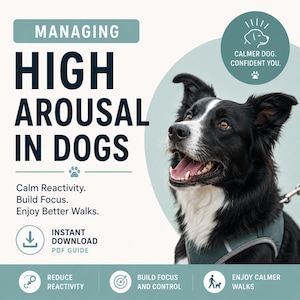 May include: A digital guide titled Managing High Arousal In Dogs featuring a black and white dog wearing a harness. The text includes Calm Reactivity, Build Focus, Enjoy Better Walks, and Instant Download PDF Guide. Icons represent reactivity, focus, and walking.