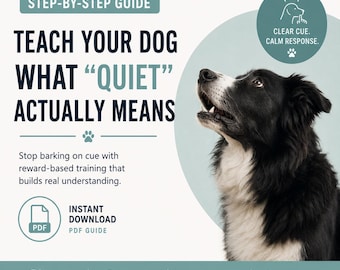 How to Stop Dog Barking | Step-by-Step Training Guide