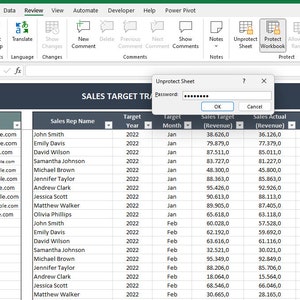 May include: A spreadsheet with a sales target tracker for the year 2022. The spreadsheet includes columns for sales representative name, contact information, target year, month, sales target revenue, sales actual revenue, sales target quantity, and sales actual quantity. The spreadsheet is protected with a password.