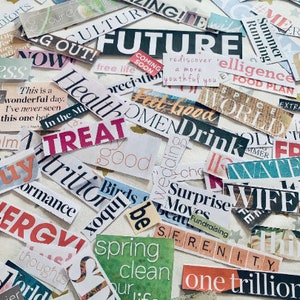 Real Magazine Words Printable Vision Board Kit Magazine Words, Law of Attraction, Vision Board Party Kit, Vision Board 2026, Paper Words image 6