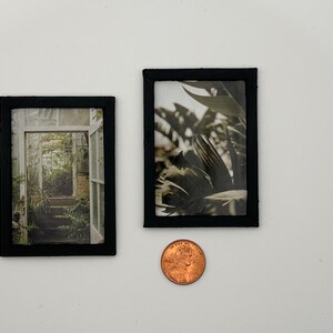 Juego de 2 cuadros de pared de casa de muñecas. Follaje e invernadero. Miniatura a escala 1:12