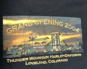 Men Medium Vintage Harley Davidson Rare 2004 Tee Shirt T-shirt Loveland,CO Q-02