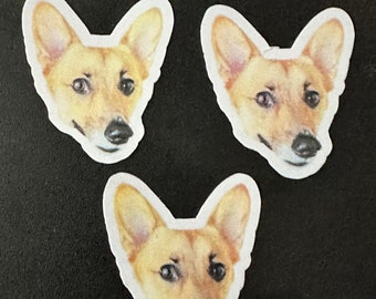 Fun custom pet stickers