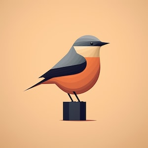 Scandinavian Style Bird Collection - Minimalist Art - 4K JPEG Files - Set of 8 Instant Download