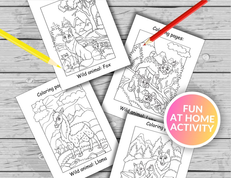 10 Wild Animal Coloring Books for Unleashing Your Inner Artist