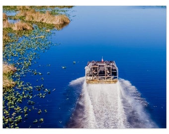 Everglades Skimming #2 - Metal Print - FREE US SHIPPING