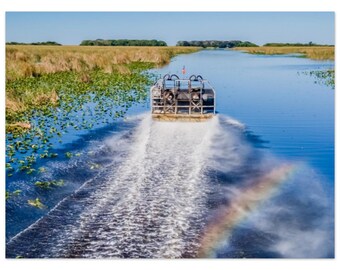 Everglades Skimming #1 - Metal Print - FREE US SHIPPING