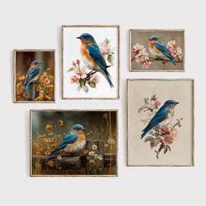 May include: A gallery wall set of five framed art prints featuring bluebirds. The images depict blue and orange birds perched on wooden fence posts or flowering branches with pink and white blossoms, set against natural backgrounds of wildflowers.