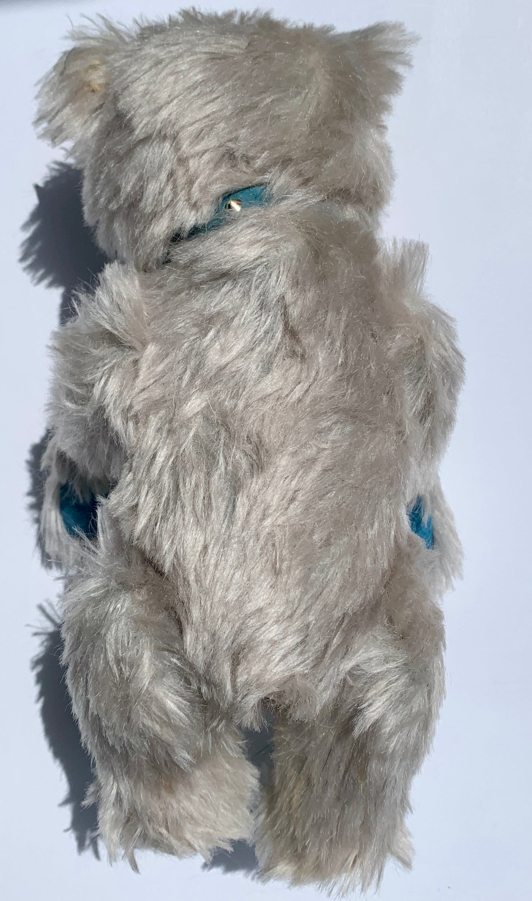 Steiff Club Edition 1992 Teddy Baby Blue 1992 - Etsy Hong Kong