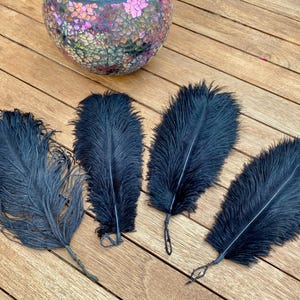 Four vintage black ostrich feathers - used