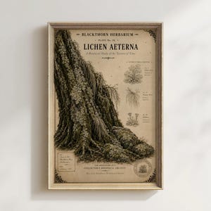 May include: A framed botanical print titled Blackthorn Herbarium Plate No. IX LICHEN AETERNA. The print features a detailed illustration of a mossy tree trunk with lichen, accompanied by smaller diagrams, scientific text, and a circular seal.