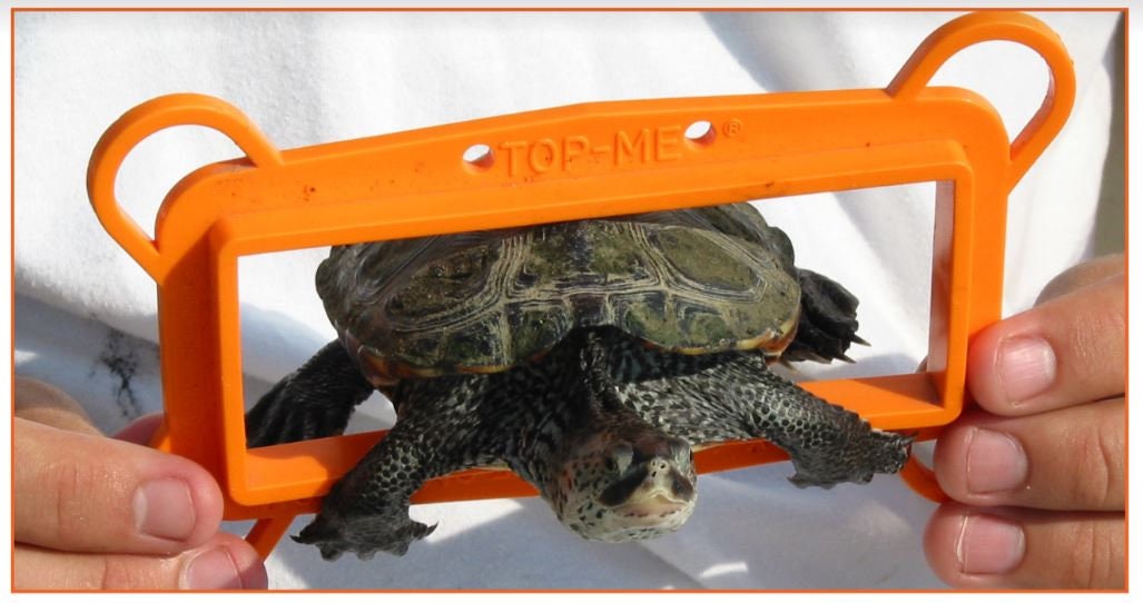4 Pack Terrapin Excluder Device TED, Turtle Reduction for Crab Traps Etsy