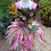 see more listings in the Adult Tutu Dresses section