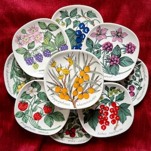Puede incluir: Una colección de platos de cerámica decorativos con ilustraciones botánicas de varias bayas y flores. Cada plato muestra una planta diferente, con dibujos detallados y nombres botánicos. Los platos están dispuestos sobre una superficie roja.