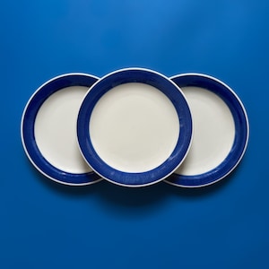 Puede incluir: Tres platos de cerámica blanca con un borde azul texturizado y un círculo interior blanco sobre un fondo azul. Los platos redondos tienen un diseño simple y moderno, adecuado para el uso diario o ocasiones especiales.