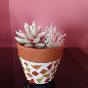 May include: A small terracotta pot with a mosaic design in shades of orange, yellow, and white. The pot is filled with a white and pink succulent plant.