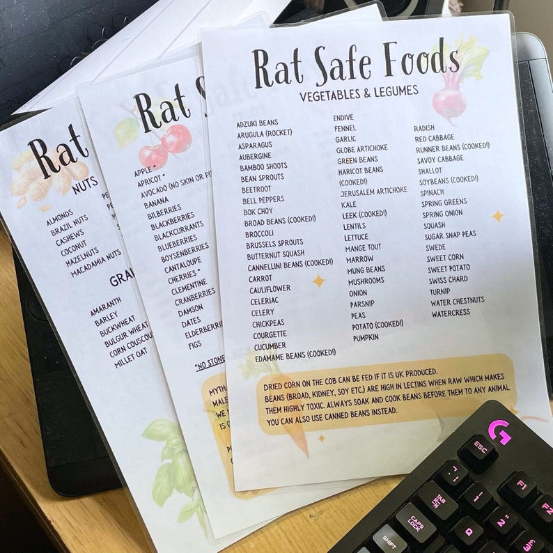 Rat Safe Foods List Etsy