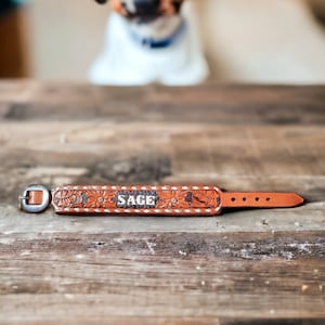 Custom Tooled Leather Dog Collar