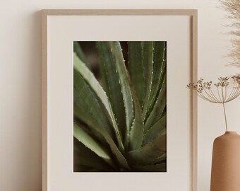 Impresión artística de cactus de Oaxaca, decoración de pared vintage de México, fotografía moderna de México
