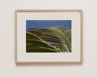 Impresión de arte de palmeras, fotografía de Tulum México, playas de México, arte de la pared de México, decoración moderna de la playa
