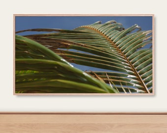 Palmera Verano Samsung Marco TV Arte / Palma