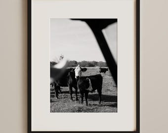 Lámina artística "Vacas en el rancho", decoración del hogar en Texas, fotografía de ranchos en blanco y negro, paisajes americanos, arte mural moderno de Texas