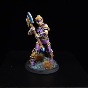 May include: A painted miniature figurine of a female warrior wearing purple and gold armor, holding a large axe with a blue blade. The figurine is standing on a base with brown grass.