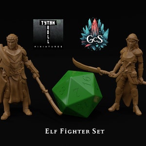 Elf Fighter - Male/Female - DnD | Pathfinder | TTRPG - 32mm Scale - TytanTrollMiniatures