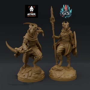 Female Dragonborn Warrior - Aether & Alchemist - Medium mini or 75mm display piece (2 poses) - DnD | Pathfinder | TTRPG - 3D Resin Print
