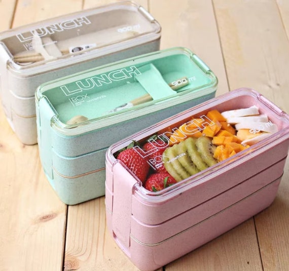 Bento Lunch Box, Meal Prep Containers, Reusable 3-Compartment Plastic Divided  Food Storage - China Plastic Lunch Box and Lunch Box price