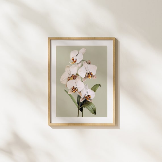 Weisse Orchidee Blumen Kunstdruck: Moderne botanische Illustration  (digitaler Download) - Etsy.de