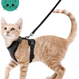 Pet travel adjustable cat vest wire custom mesh cat harness escape proof cat harness and leash set for walking for cats or small dogs 2 size