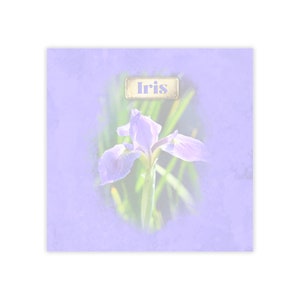 May include: A purple iris flower with a light blue background and the word "Iris" in a vintage-style label.