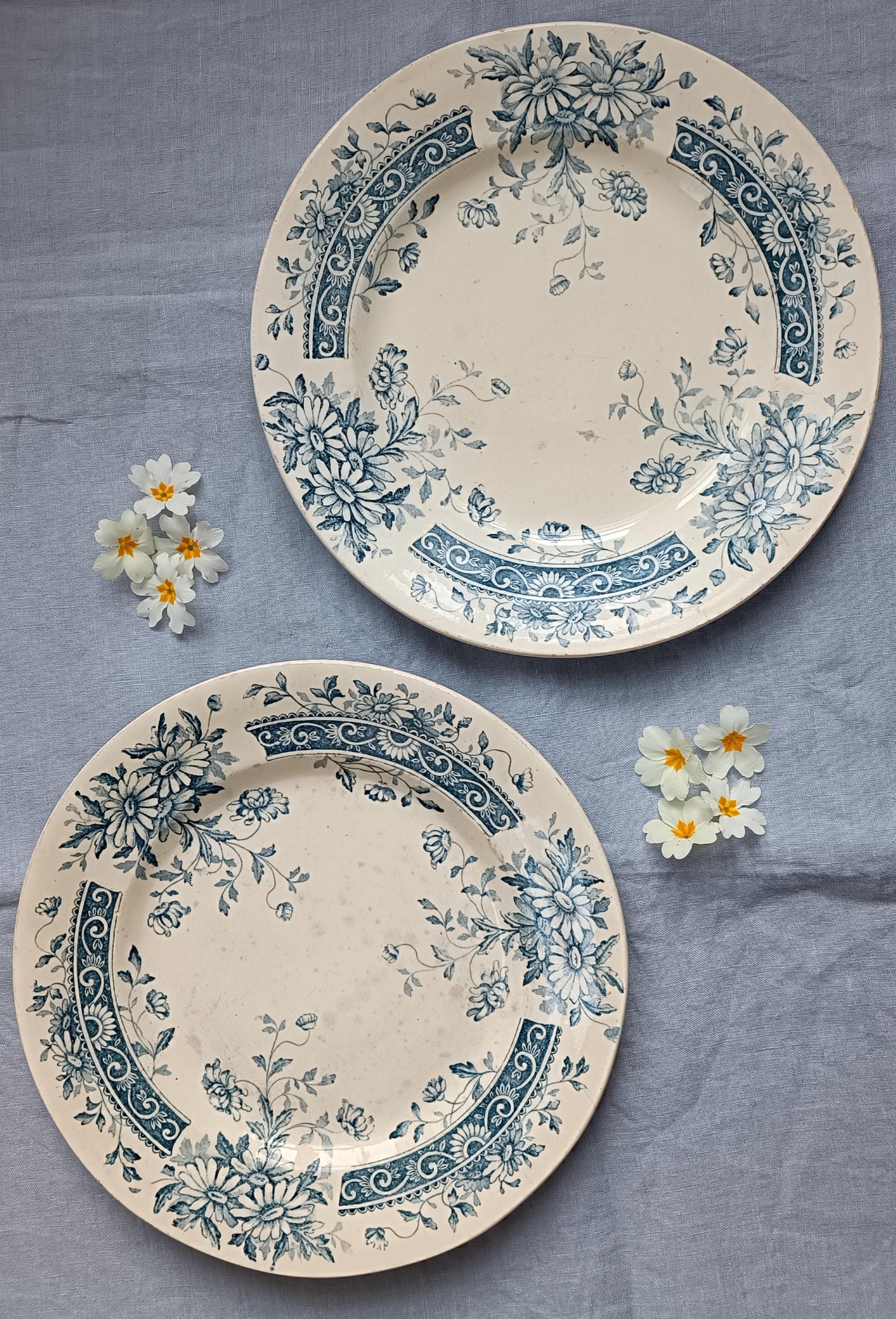 Assiette Ancienne Terre De Fer – Modèle Hélène Floral Début XXe – Céramique Blanche – 23 Cm